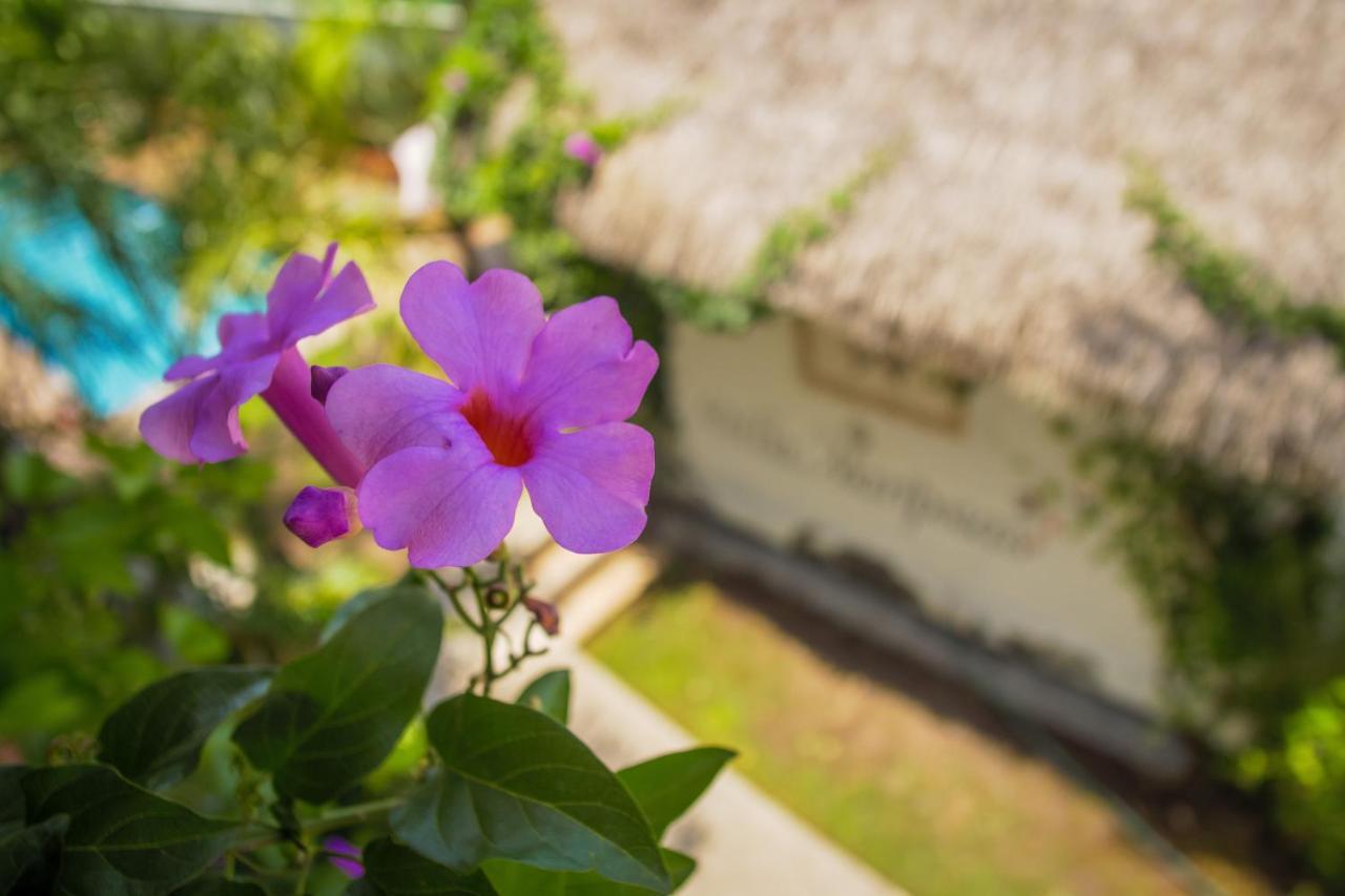 Hotel Villas Mariposas Atlixco Exterior photo