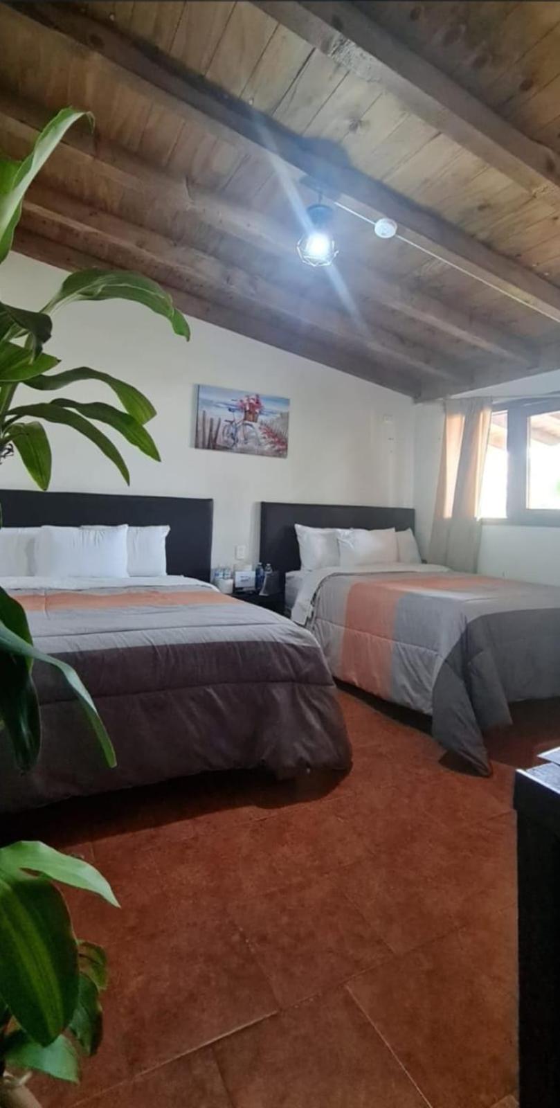 Hotel Villas Mariposas Atlixco Exterior photo